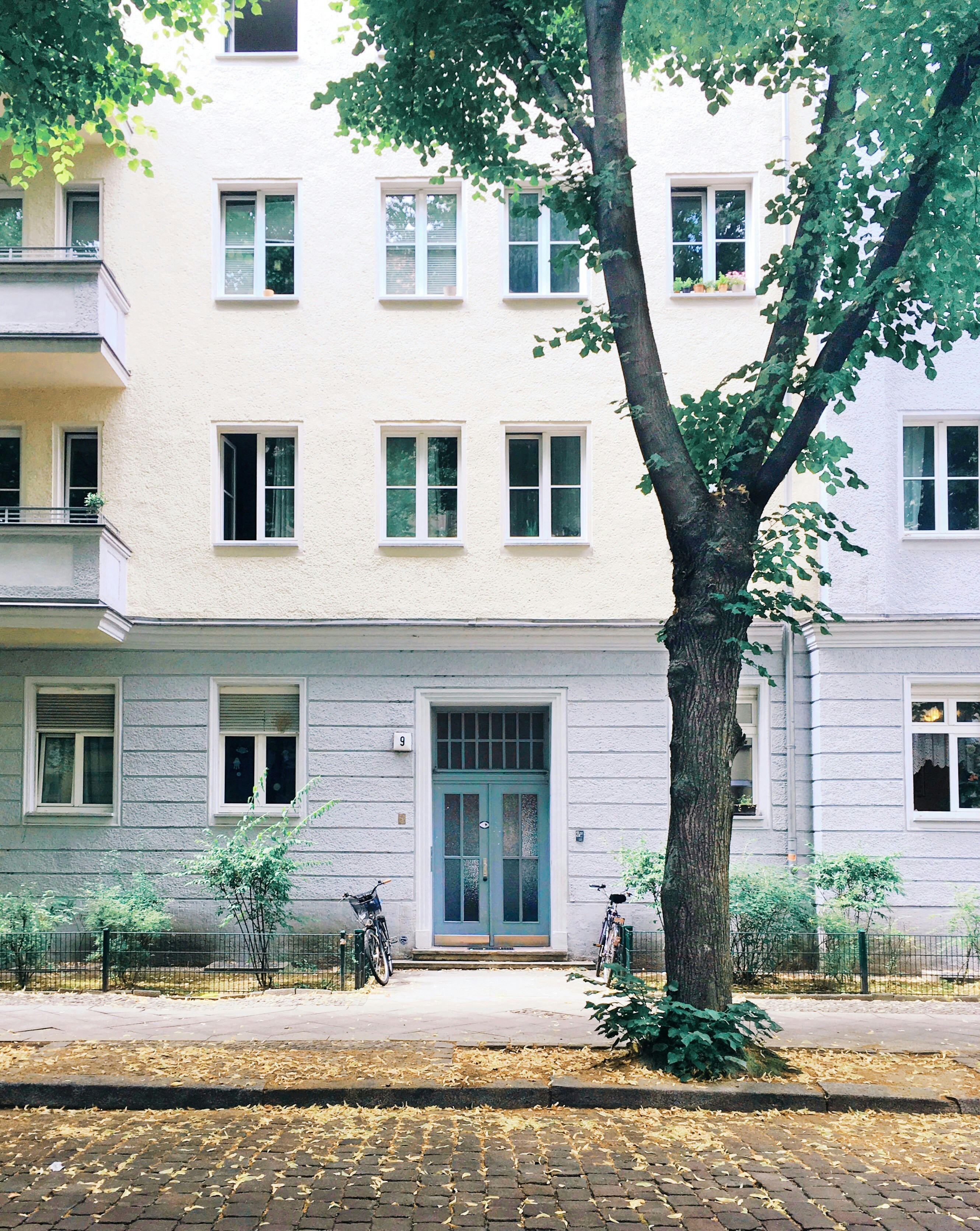 Wiener Altbau mit blauem Eingang — Symbol für den Übergang